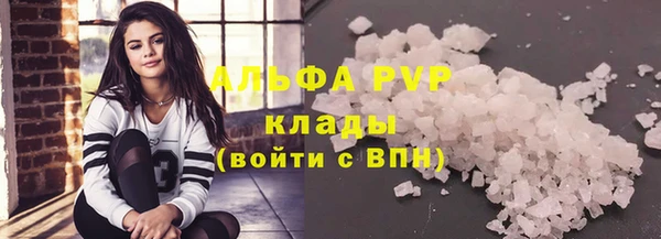хмурый Новозыбков