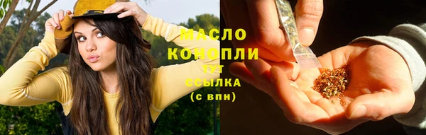 дурь Няндома