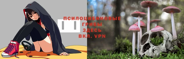 2c-b Новодвинск