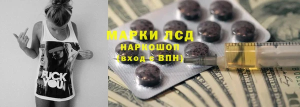 дурь Няндома