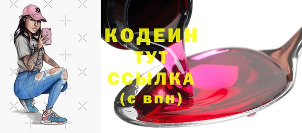 хмурый Новозыбков