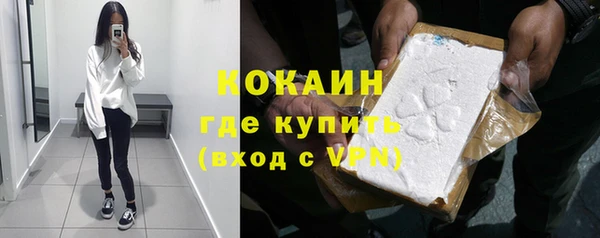 крисы Новокубанск
