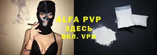 дурь Няндома