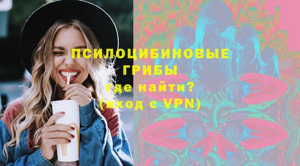 дурь Няндома