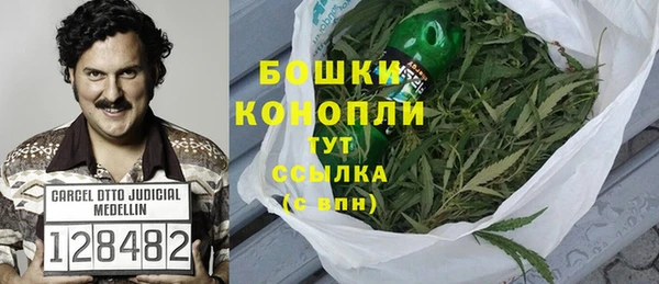 хмурый Новозыбков