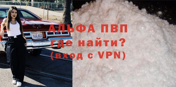 хмурый Новозыбков