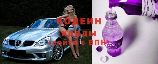 дурь Няндома