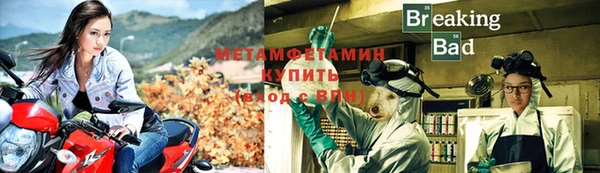 крисы Новокубанск