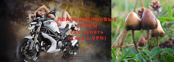 spice Нязепетровск
