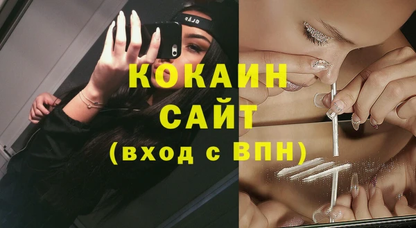 хмурый Новозыбков