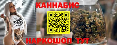 СК Гатчина