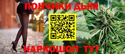 СК Гатчина