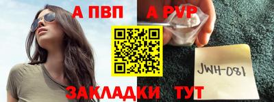 СК Гатчина