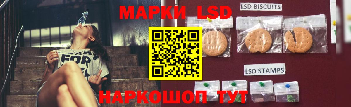 Коряжма  ЛСД экстази ecstasy  Вход с VPN 