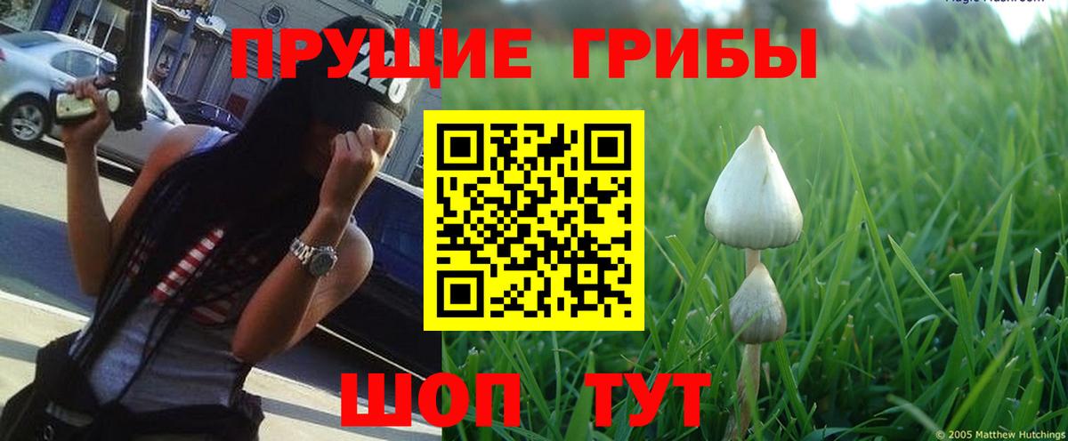 Коряжма  Псилоцибиновые грибы ЛСД  Галлюциногенные грибы GOLDEN TEACHER  Вход с VPN 