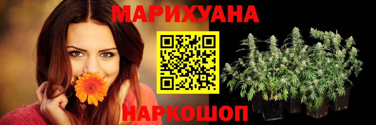 Марихуана семена Коряжма